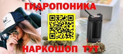 соль ск Будённовск