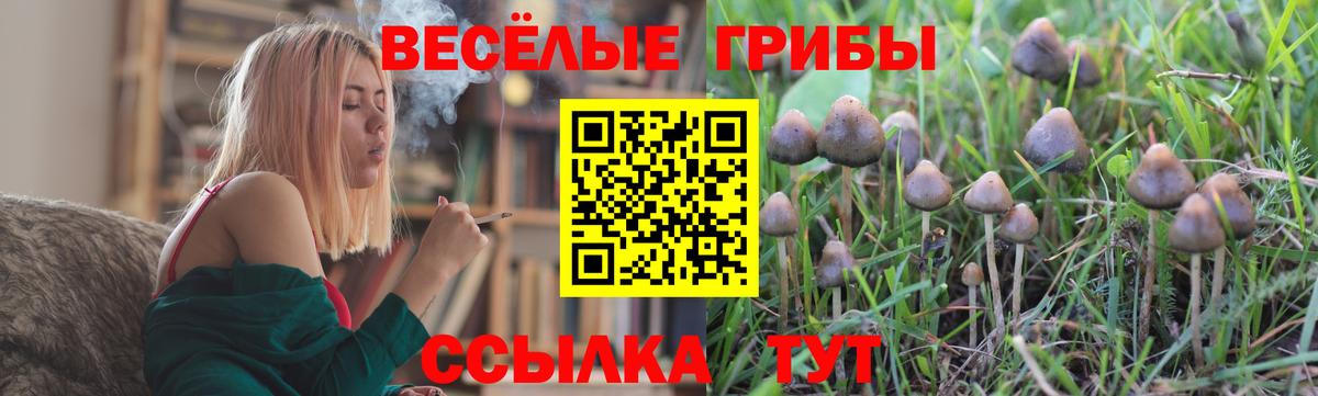 Кудымкар  Псилоцибиновые грибы ЛСД  Вход с VPN 